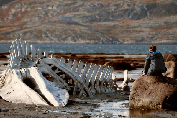 Leviathan Still, child sitting on rock looking at bones of a whale