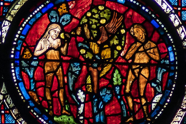 Chartres Cathedral stained glass windows