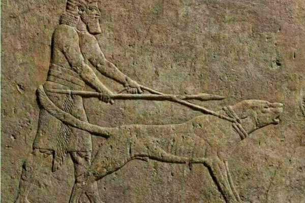 Assyrian relief with a man holding a spear standing next to a dog on a leash